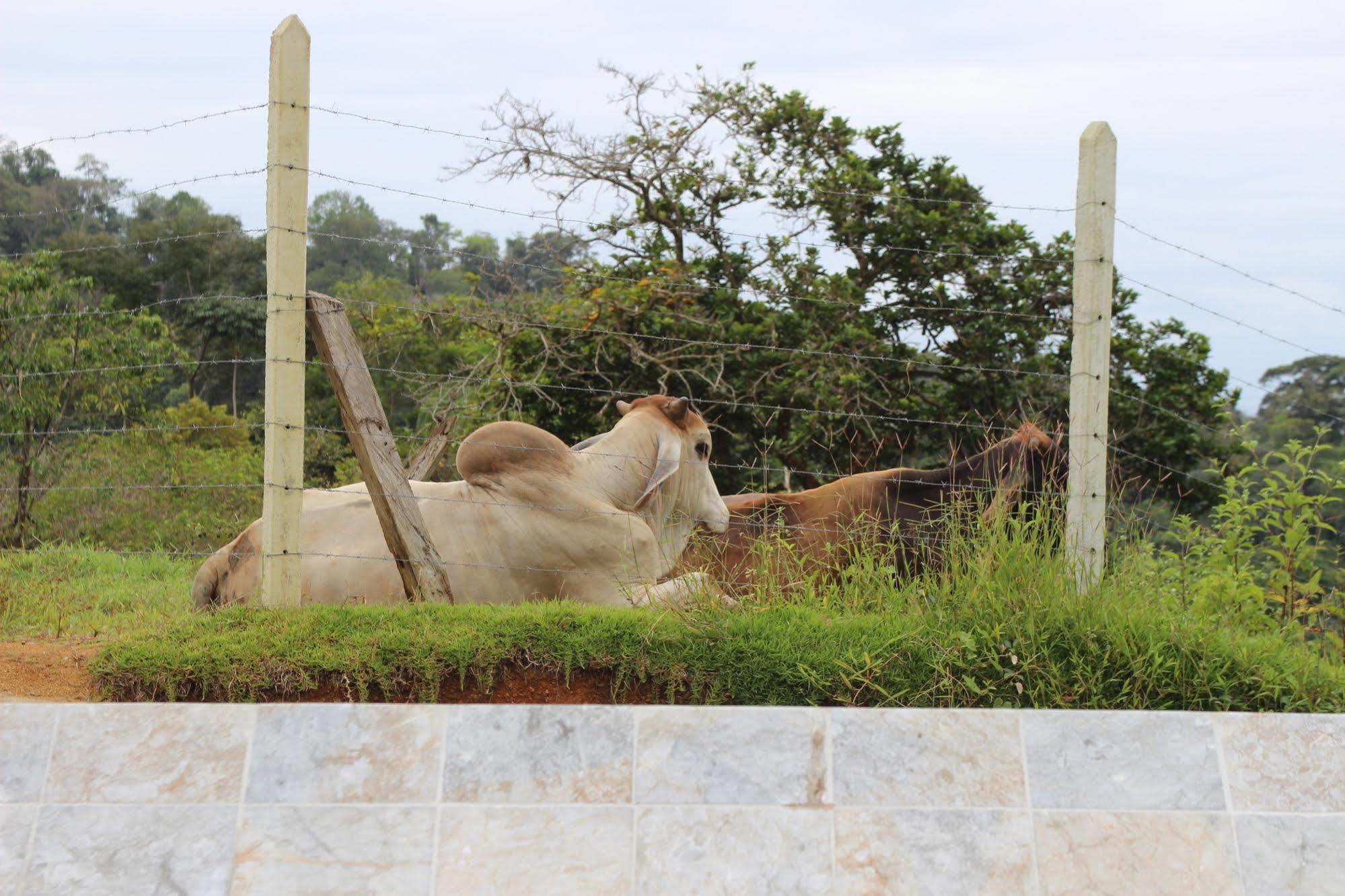 Eden Tica Lodge อูวีตา ภายนอก รูปภาพ