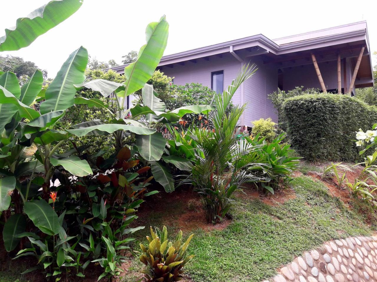 Eden Tica Lodge อูวีตา ภายนอก รูปภาพ
