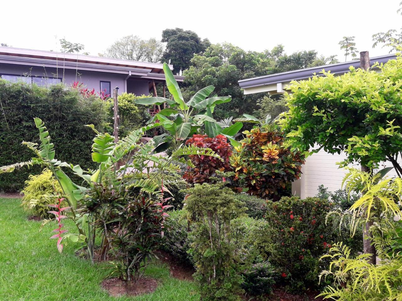 Eden Tica Lodge อูวีตา ภายนอก รูปภาพ